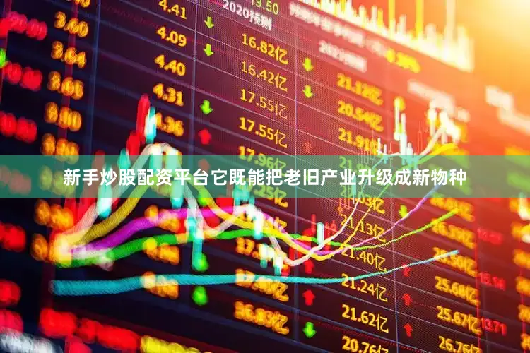 新手炒股配资平台它既能把老旧产业升级成新物种